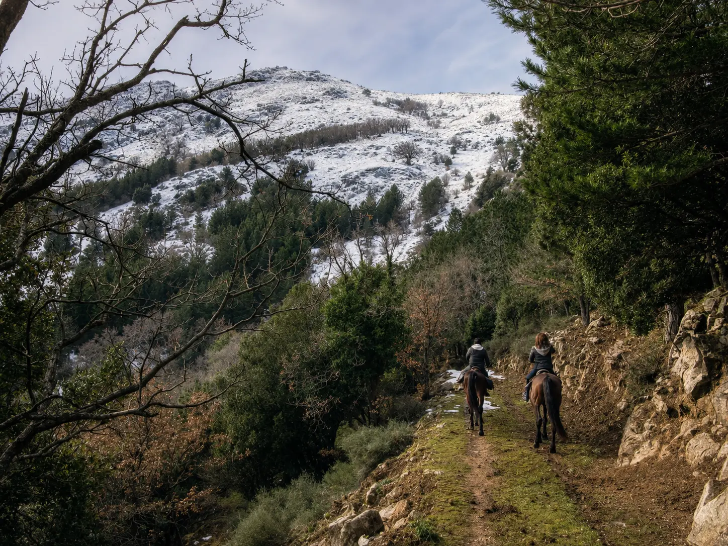 Trail ride a cavallo in un bosco delle Madonie