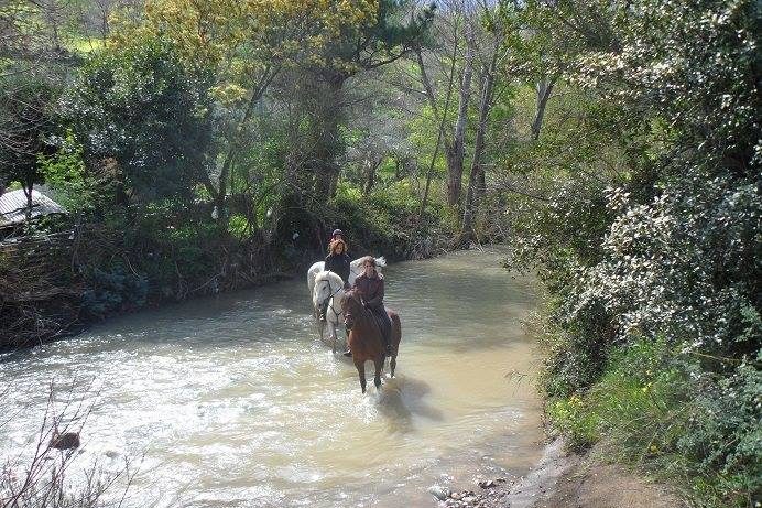 Ausritt am Fluss