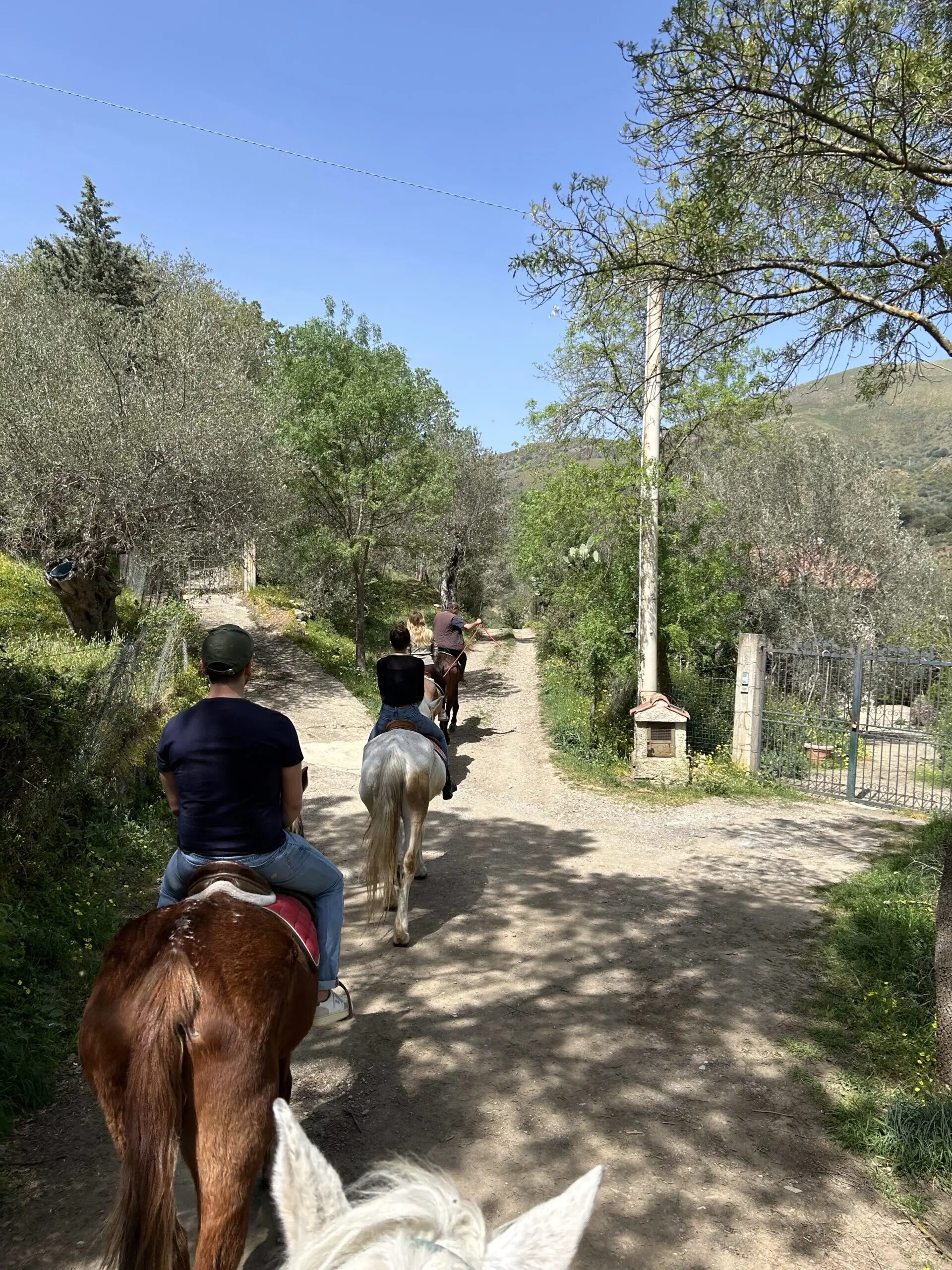 Cavalieri lungo un sentiero nel bosco
