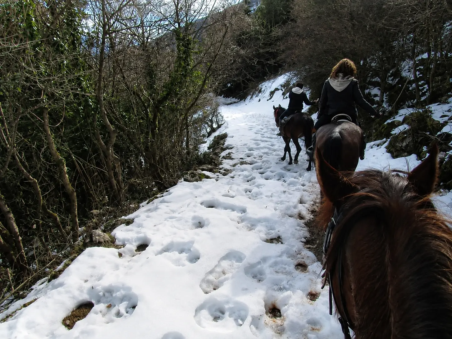 Ausritt im Schnee